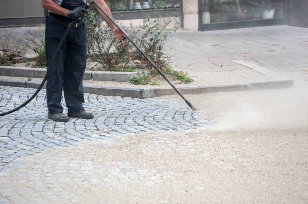 Best Roof Cleaning and Mildew Removal in Gowanda, NY